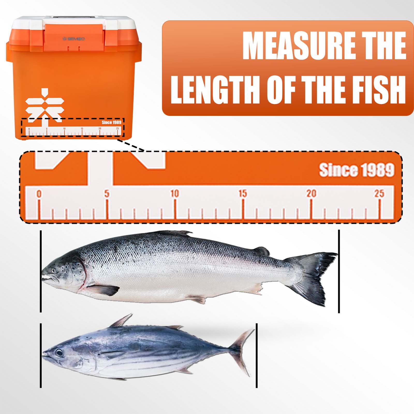 ZUKIBO 21L Large Capacity Fish - đánh giá và giá Fish Finder Case